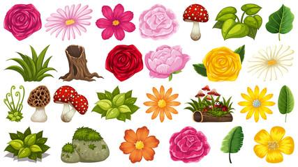 Fototapeta na wymiar Set of isolated objects theme - mushrooms and flowers