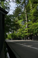 《角館の夏》秋田県仙北市