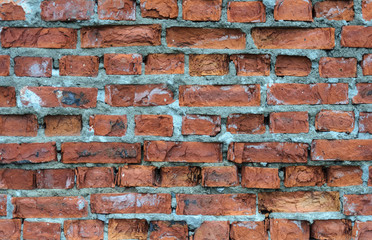 Fototapeta premium Old red brick wall background
