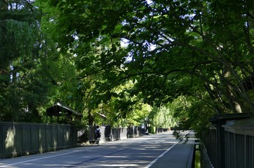 《角館の夏》秋田県仙北市