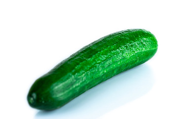 Fresh, green Cucumber isolated on white background. Organic vegetables. 