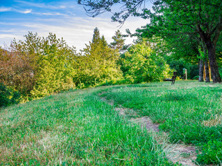 Benches in the shade of trees overlooking the landscape - a place to relax and rest