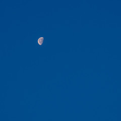 Crescent moon on clean dark blue sky