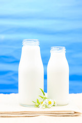 Obraz na płótnie Canvas Milk in the bottle on the table