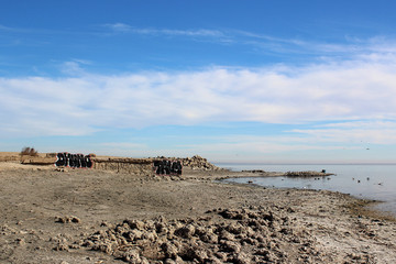 Salton Sea I