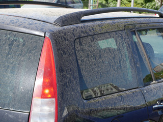 Car covered with pollen and fine dust in the spring