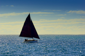 Fototapeta na wymiar Couta Boat in Sun