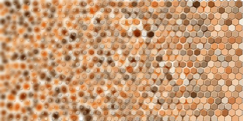 Abstract colorful honeycomb honey