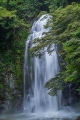  Refreshing Osaka Prefecture in Japan
