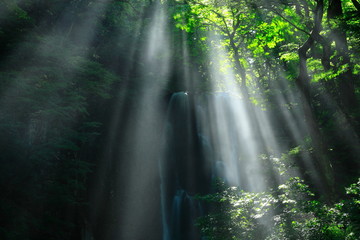 Obraz premium 夏の亀田不動滝