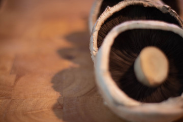 Naklejka premium Line of mushrooms