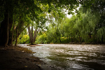 Obraz premium parque con arboles y rio en la ciudad