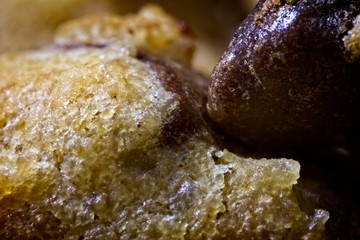 Closeup of a chocolate chip cookie