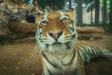Fun zoo Hyogo in Japan