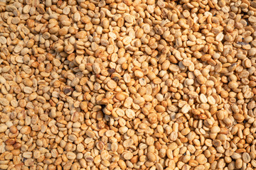 Dried coffee beans in the northern region of Thailand.
