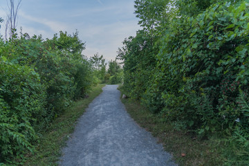 Fototapeta na wymiar Walking trail between forest in Nippon, Ottawa, Canada