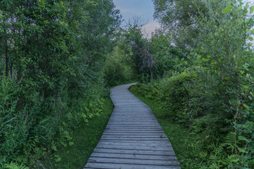 Walking trail between forest in Nippon, Ottawa, Canada