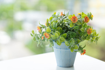 Orange fake flowers in blue pots placed on the windows.
