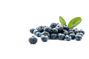 Isolated of blueberries on white background.