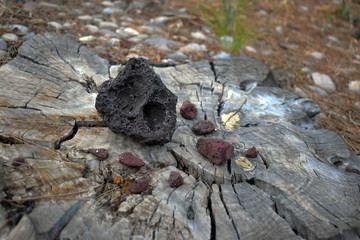 Lava rock on wood