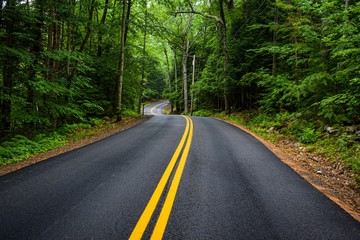 road in forest
