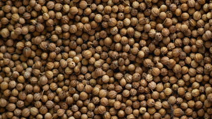 Macro shot of coriander seed