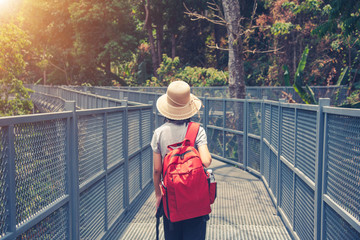 Fototapeta traveling backpacker walking on Canopy walkway at Queen Sirikit Botanic Garden Chiangmai, Thailand obraz