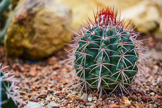 Hildm-Bilder: Stock-Fotos & -Videos. | Adobe Stock