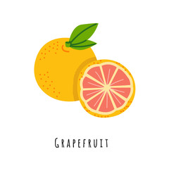 Grapefruit flat vector illustration