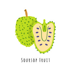 Soursop fruit flat vector illustration