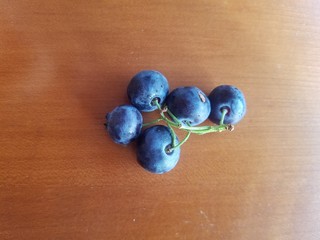 sprig of blueberries
