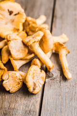 Wild chanterelles mushrooms on the rustic wooden background. Selective focus. Shallow depth of field.