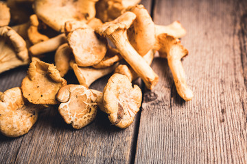 Wild chanterelles mushrooms on the rustic wooden background. Selective focus. Shallow depth of field.