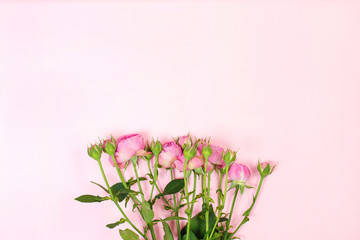 Naklejka na ściany i meble Flowers composition. Pink rose flowers. Flat lay, copy space