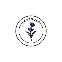 Lavender Logo Lavender in trendy linear style. Vector herbal organic lavender Icon