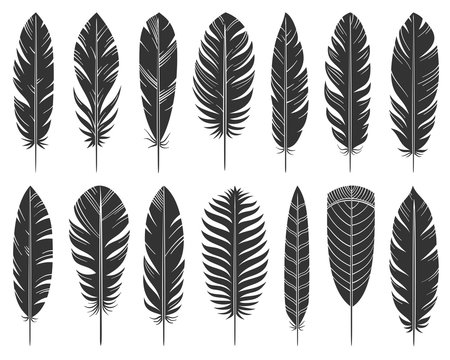 Feather quill tribal silhouette icons vector set