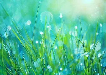 Fotobehang Koraalgroen Abstracte groen gras natuur wazig achtergrond op weide. Sappig weelderig gras op weide met druppels dauw in ochtendlicht, buitenshuis. artistiek beeld van zuiverheid versheid natuur. detailopname. Ondiep