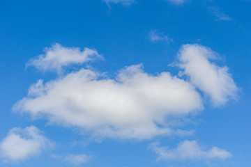 Obraz premium bright blue sky with huge white fluffy cloud.