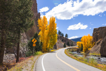 Autumn road