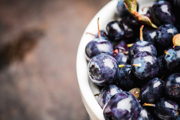 Freshly harvested wild blueberries in bowl. Selective focus. Shallow depth of field.