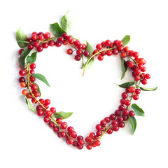 Obraz premium wreath of berries isolated on white