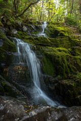 Fototapeta na wymiar Whittier Waterfall