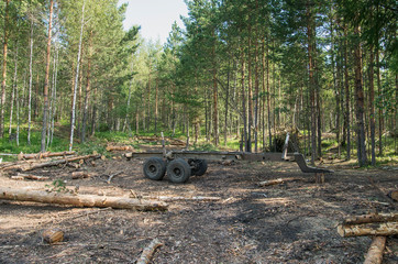 Timber trailer on the cutting area.