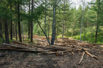 Production of log cabins on the forest plot.