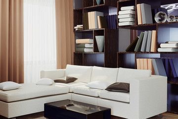 Modern living room interior , white sofa and books standing on a shelf. 3d rendering