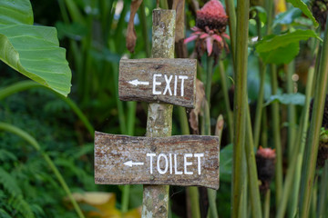 Text exit and toilet on a wooden board in a rainforest jungle of tropical Bali island, Indonesia. Exit and toilet wooden sign inscription in the asian tropics.