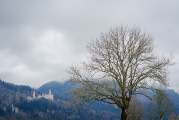 Beautiful view of world-famous Neuschwanstein Castle on the mountain in rainy day, southwest Bavaria, Germany  