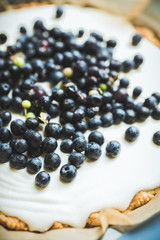 Fresh cheesecake with wild blueberries on the rustic background. Selective focus. Shallow depth of field.