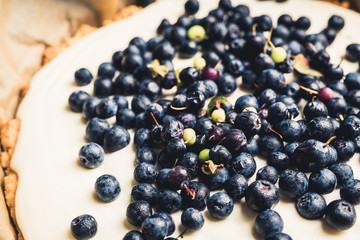 Fresh cheesecake with wild blueberries on the rustic background. Selective focus. Shallow depth of field.