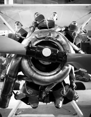 Black and White Prop Plane Seven Cylinder Engine